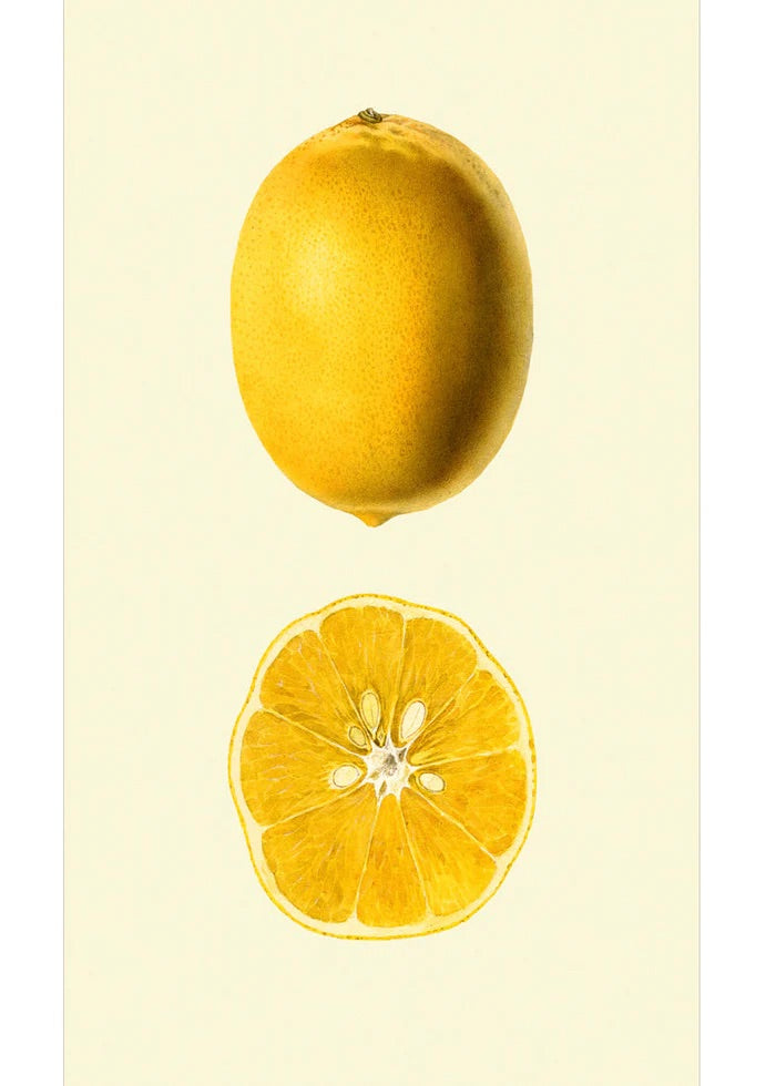 Lemon 70x100, eikeramme