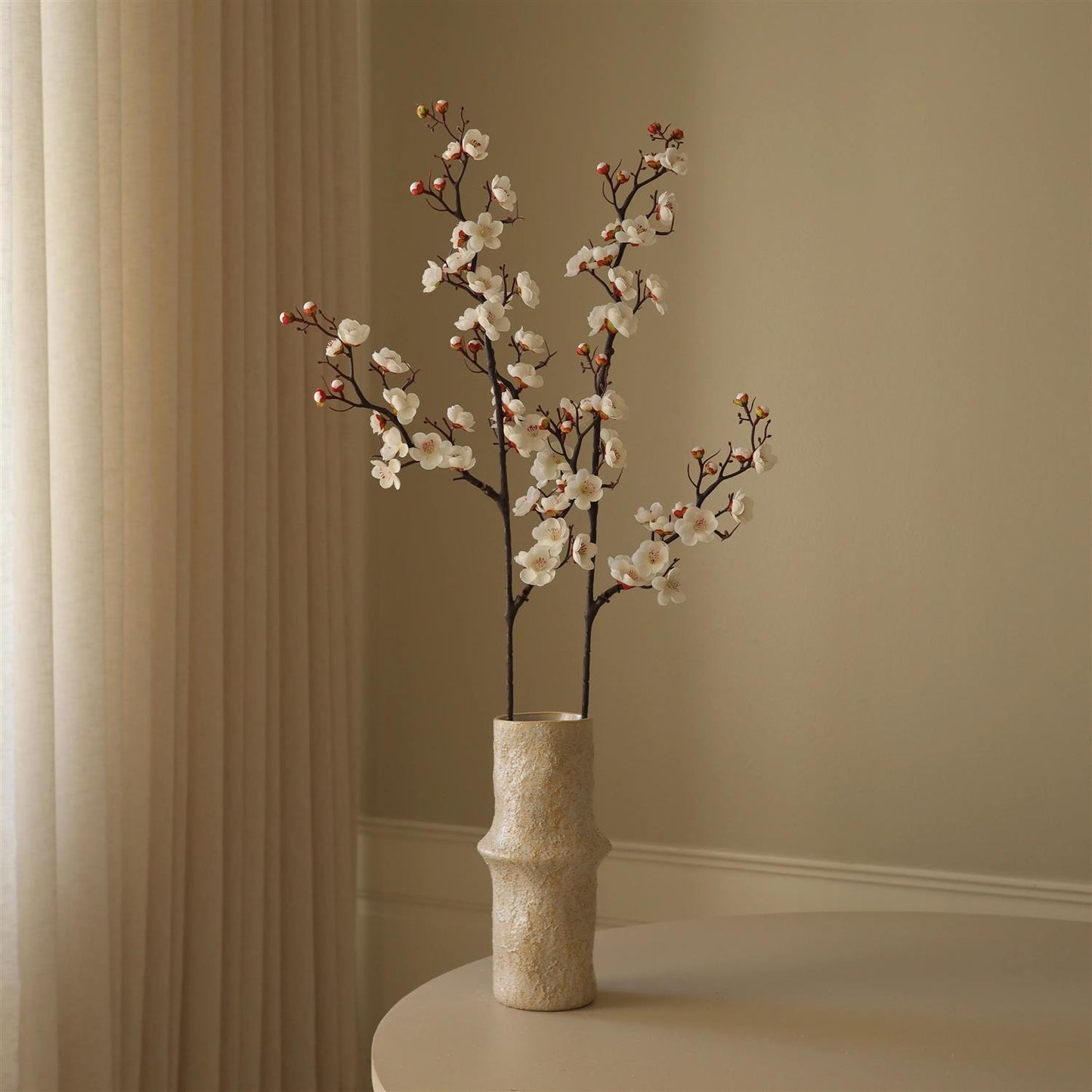 White plum blossom branch