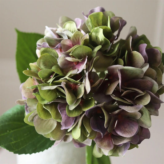Pale purple hydrangea flower