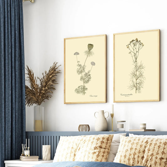 Dacusvisnaga - 30x40 eikeramme
